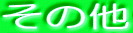 ���̑�