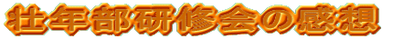 �s�N�����C��̊��z